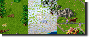 neue tiere
